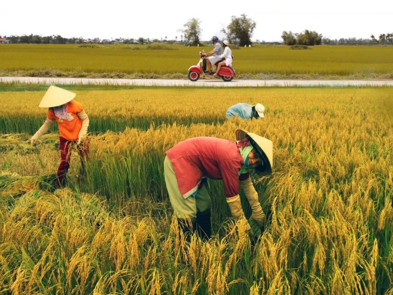 Vespa tour – wiejski urok okolic Hoi An